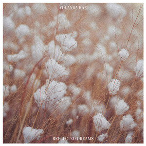 最新在线视频91
